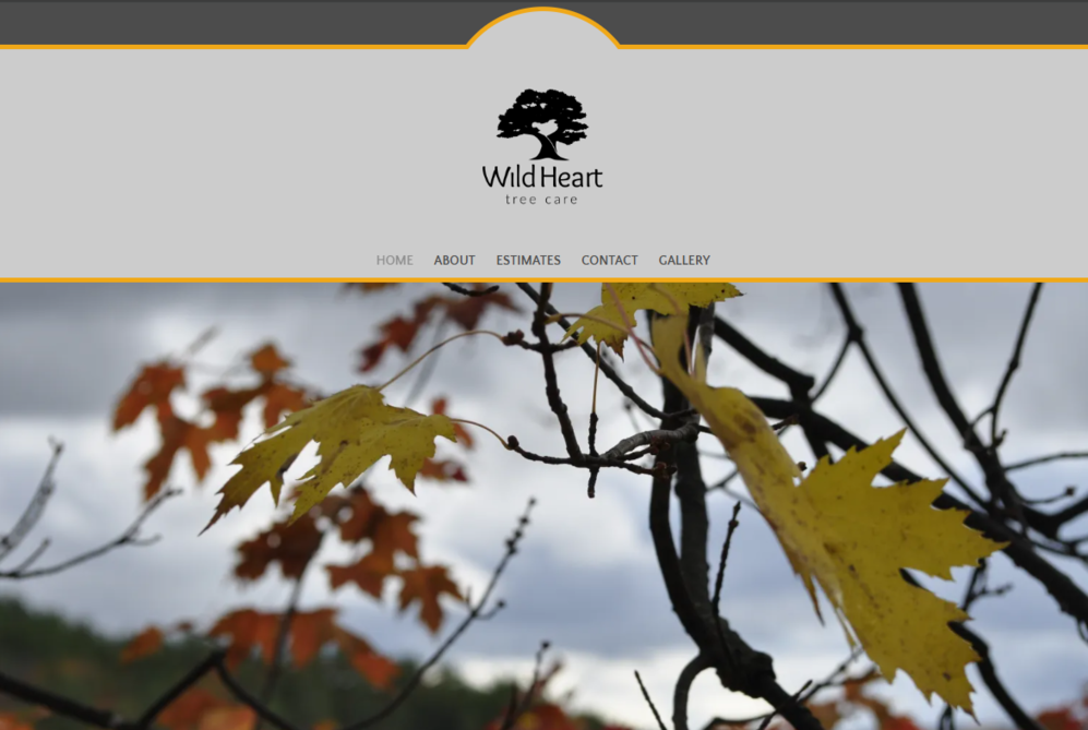 Wild heart tree care